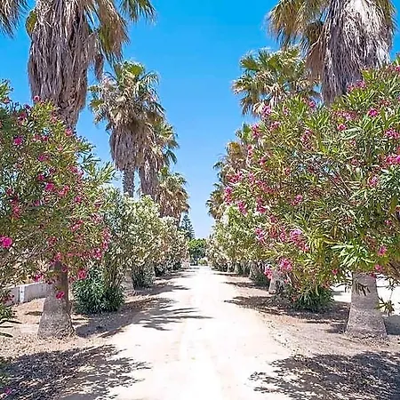 Rural La Jandeta